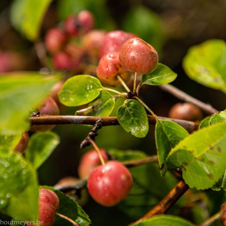 découvrez tout ce qu'il faut savoir sur le malus co2 : fonctionnement, barème, véhicules concernés en 2024 et astuces pour réduire la taxe écologique lors de l'achat d'une voiture.