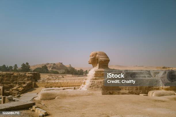 découvrez le changement à la tête de sra et la nomination d'un nouveau directeur chez un assureur mutualiste, marquant une nouvelle étape stratégique pour l'entreprise.