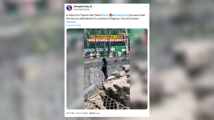 trois américains ont été condamnés pour escroquerie après s'être déguisés en ours pour tromper leurs victimes. découvrez les détails de cette affaire insolite.